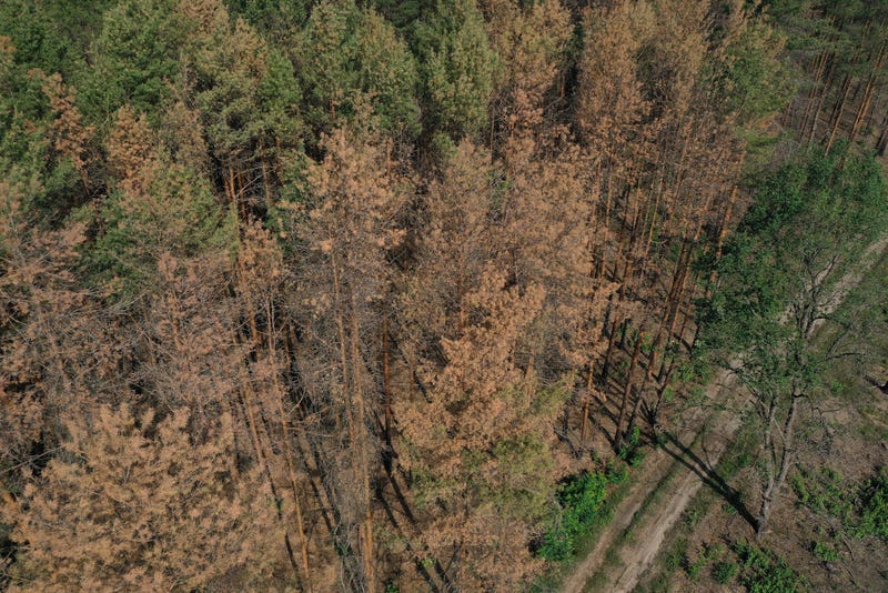 A Mariposa family was found dead in the Sierra Nevada Forest after going for a hike on Aug. 15.