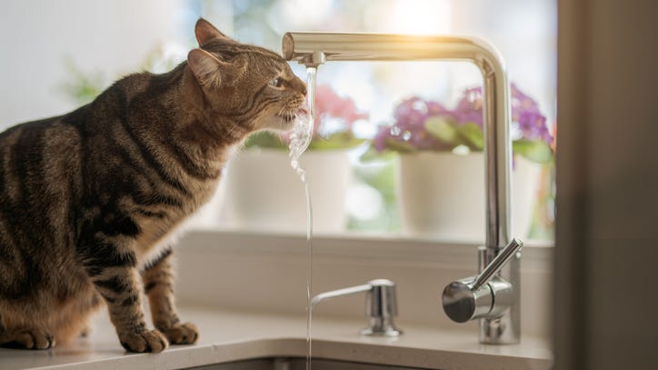 Boil Water Advisory lifted for Novi, Commerce Township and Walled Lake