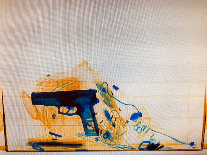 Airport Security, MSP Airport, TSA, Firearms, Gun