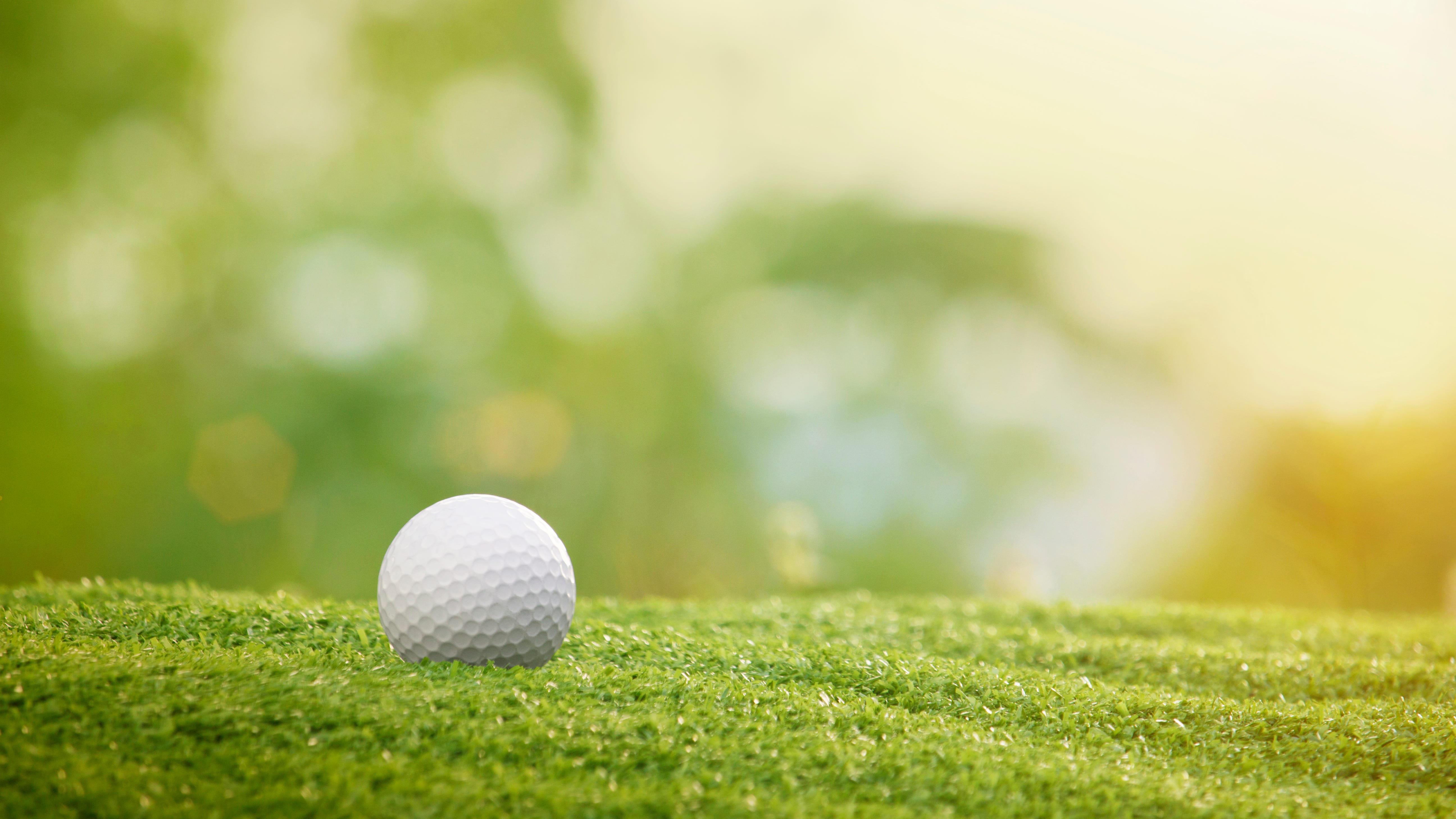 Lake County golf course up for auction