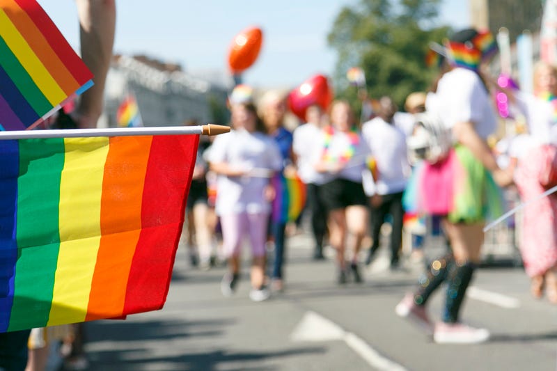 Participants and supporters of a Gay Pride Parade
