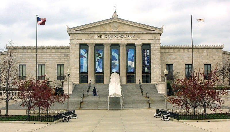 The steps to the John G. Shedd Aquarium in Chicago.