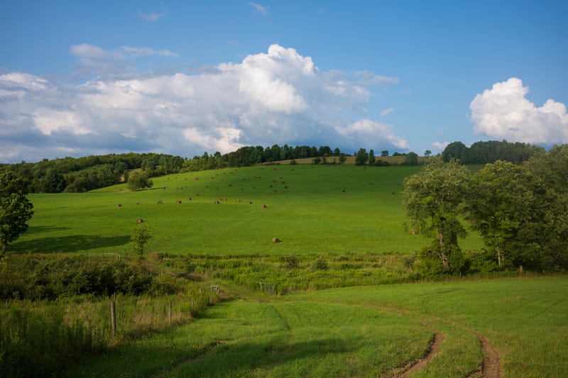 rolling hills, New York
