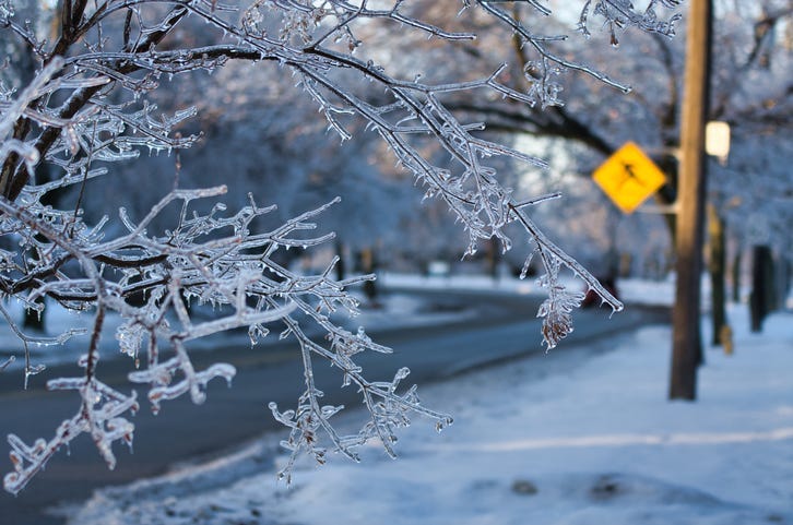 Farmer's Almanac reveals what to expect this winter in Michigan