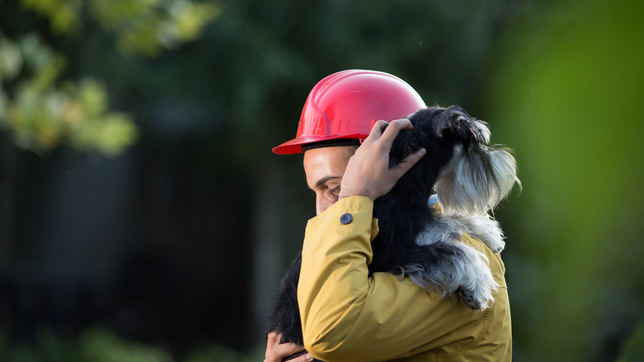 You lucky dog: Pet miraculously survives second catastrophic wildfire