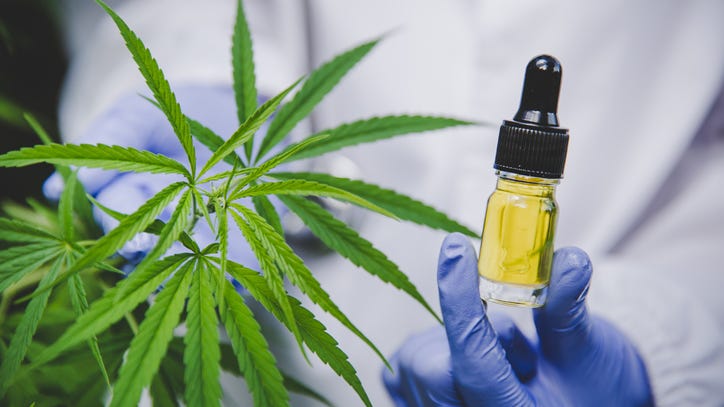 MSP halts marijuana testing citing possibility of inaccurate test results