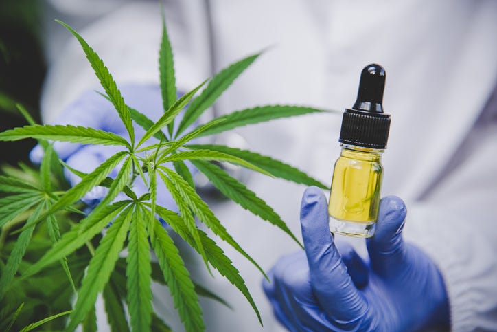 Close up of someone in a lab coat and medical gloves holding marijuana leaves and a bottle of CBD oil.