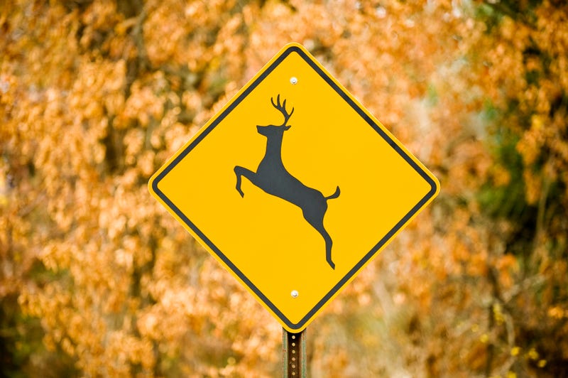 Deer crossing sign