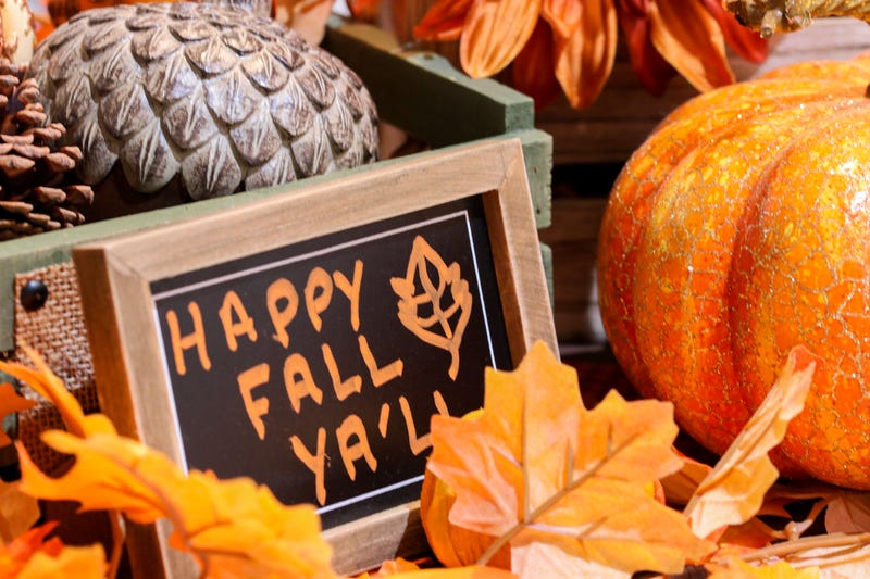 Fall Festivals