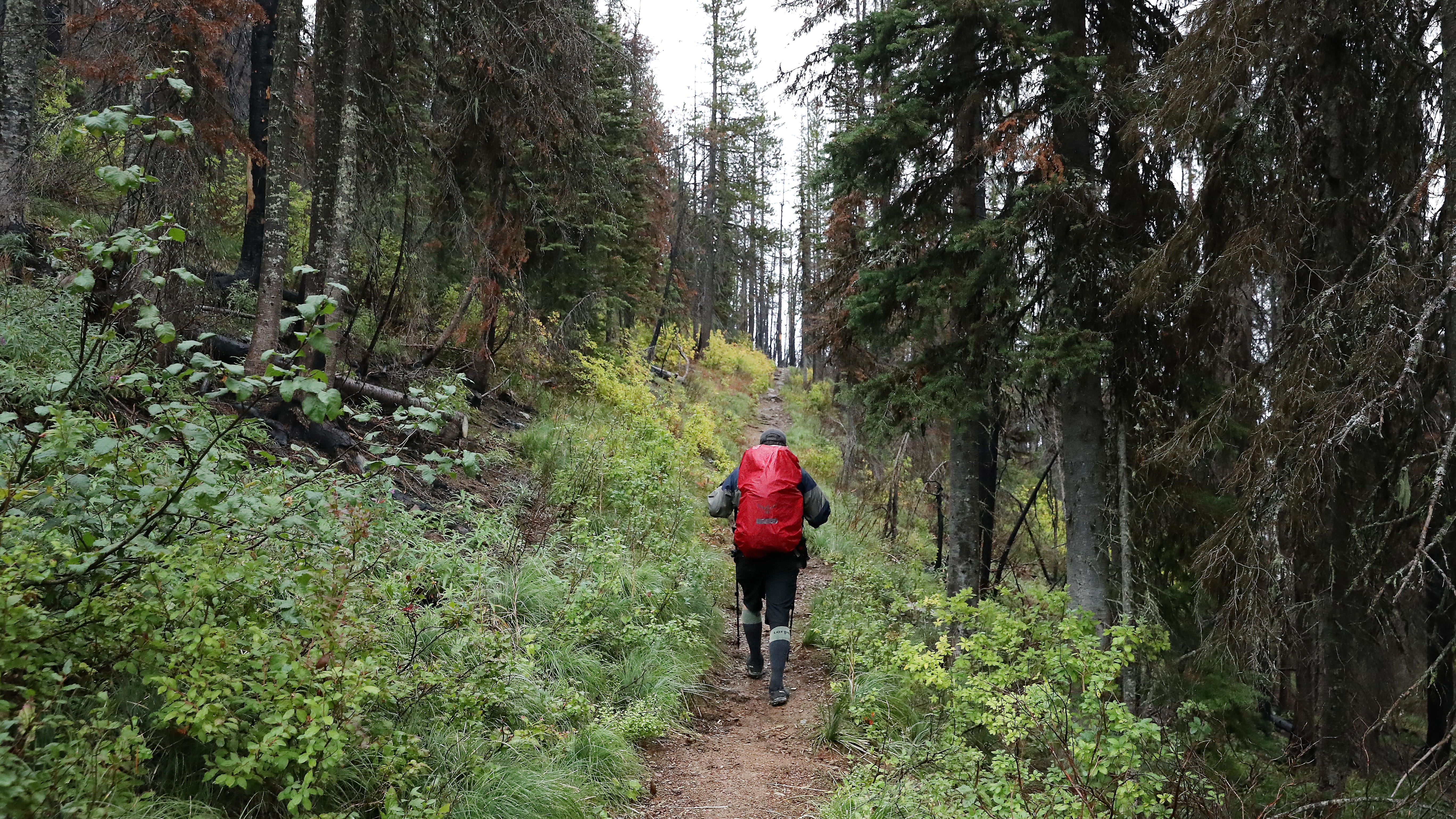 DNR reports increasing search and rescue missions in Michigan parks