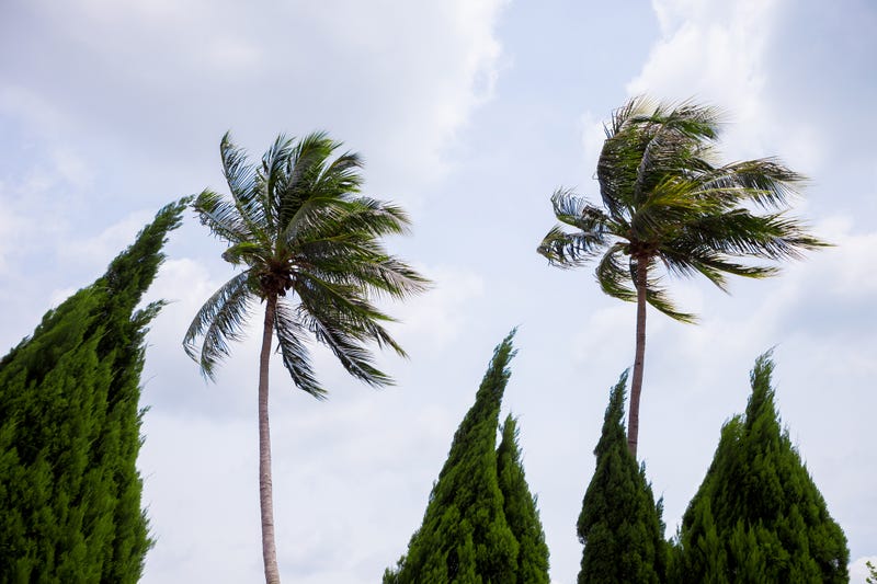 iStock/Getty Images