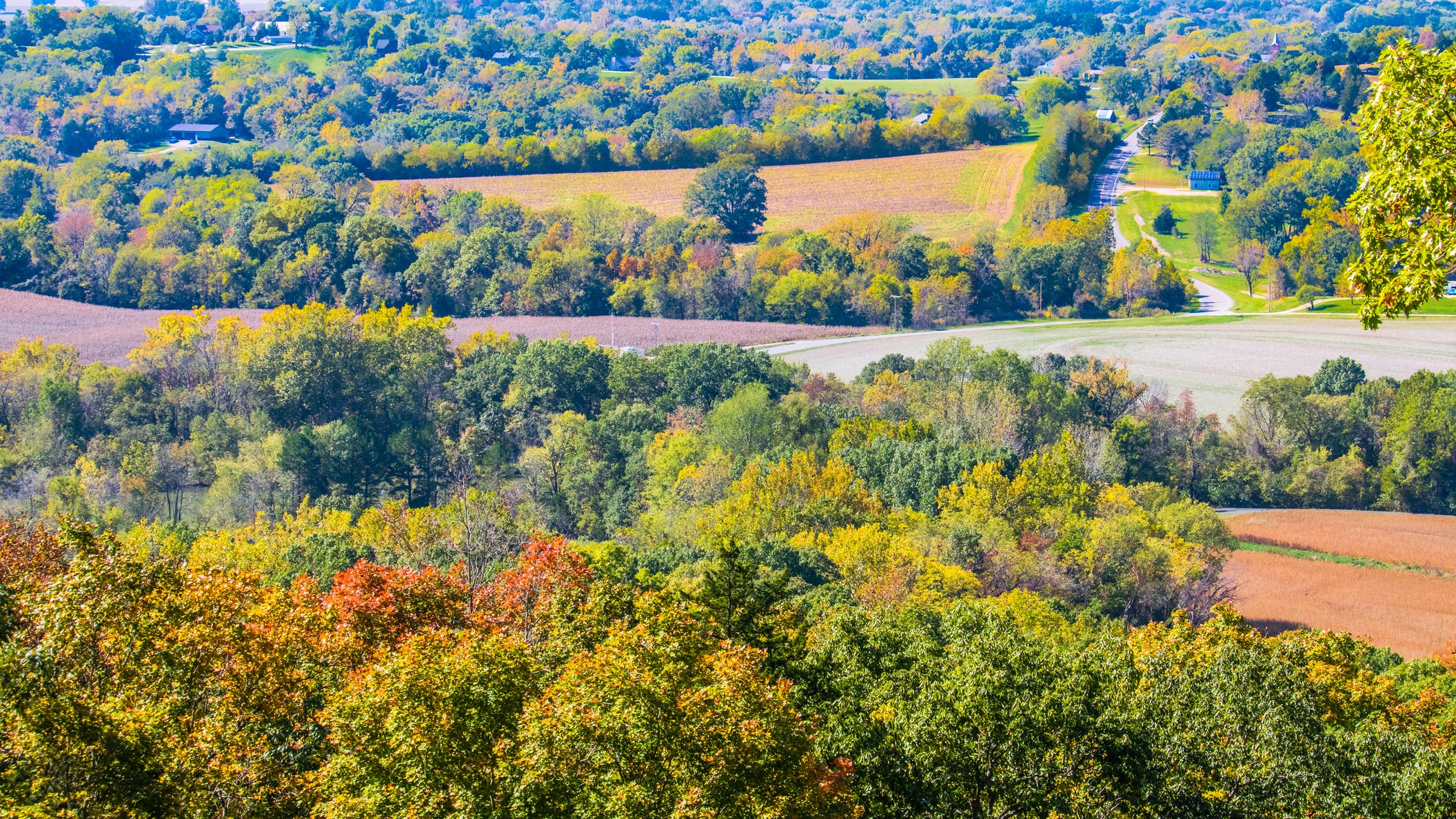 Could the next Napa Valley be near St. Louis? Investors purchase more Augusta wineries for $100M project