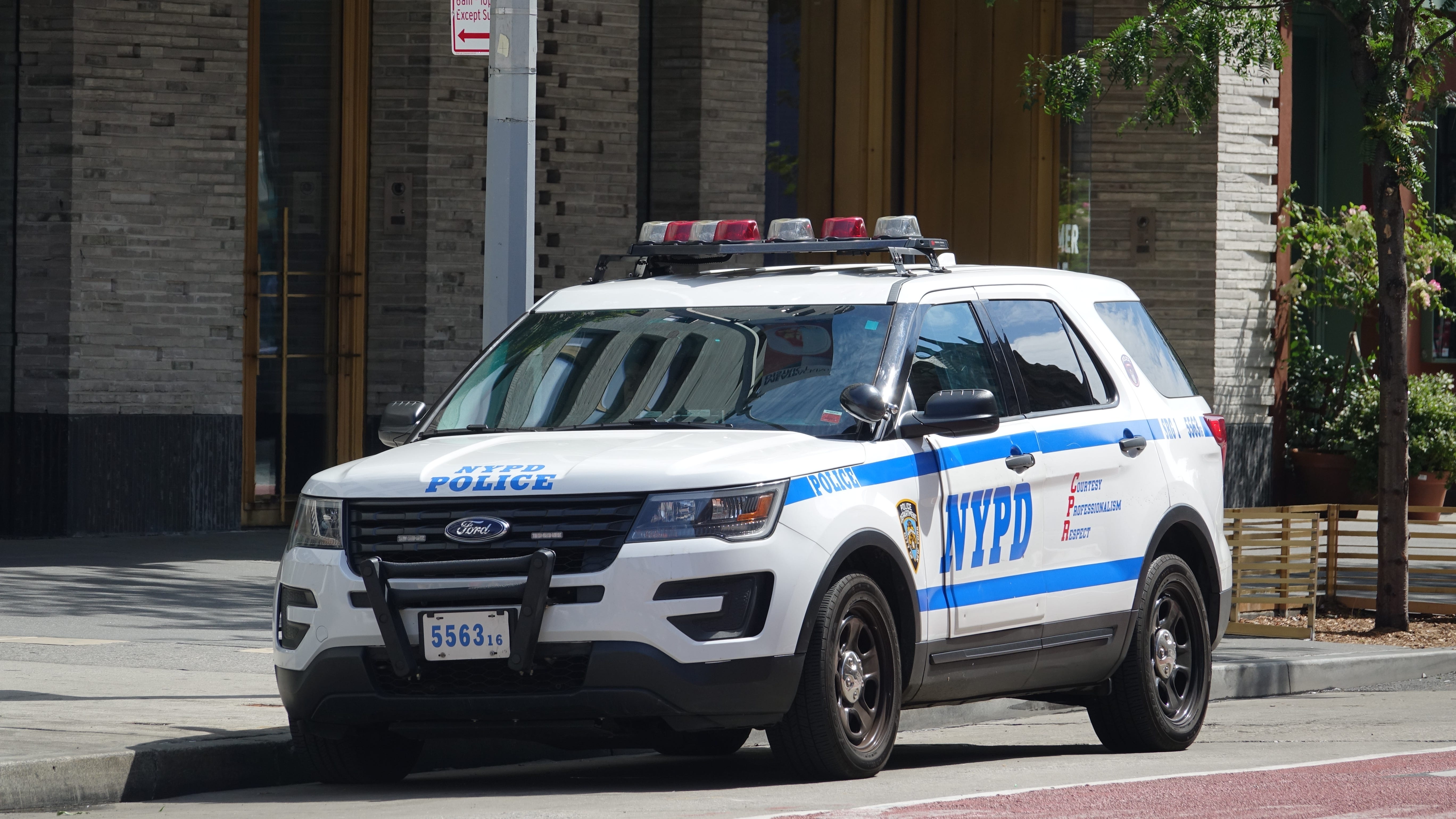 Human remains found off of Bronx highway