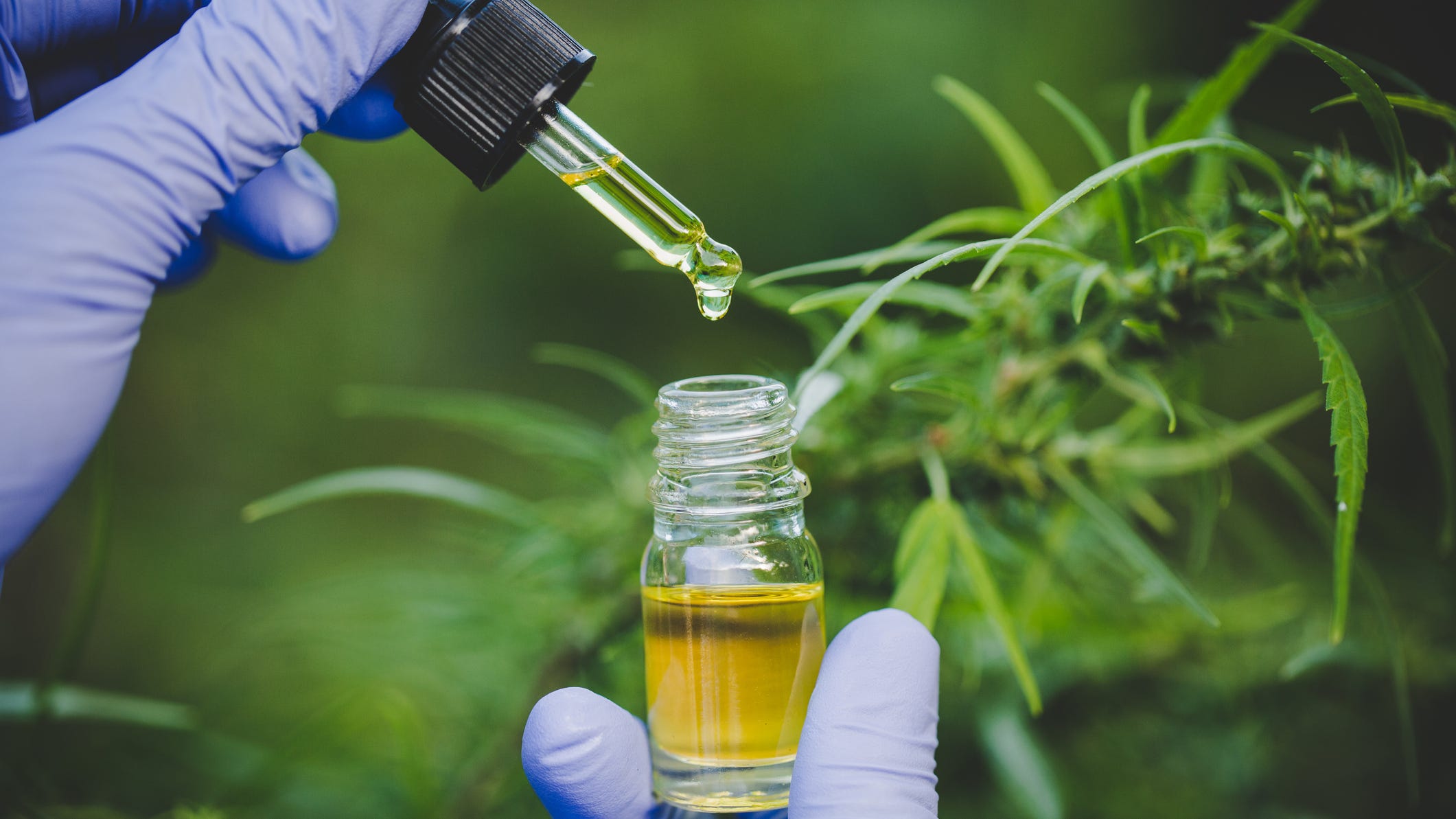 Gov. Whitmer signs legislation regulating Delta-8 THC under state marijuana law