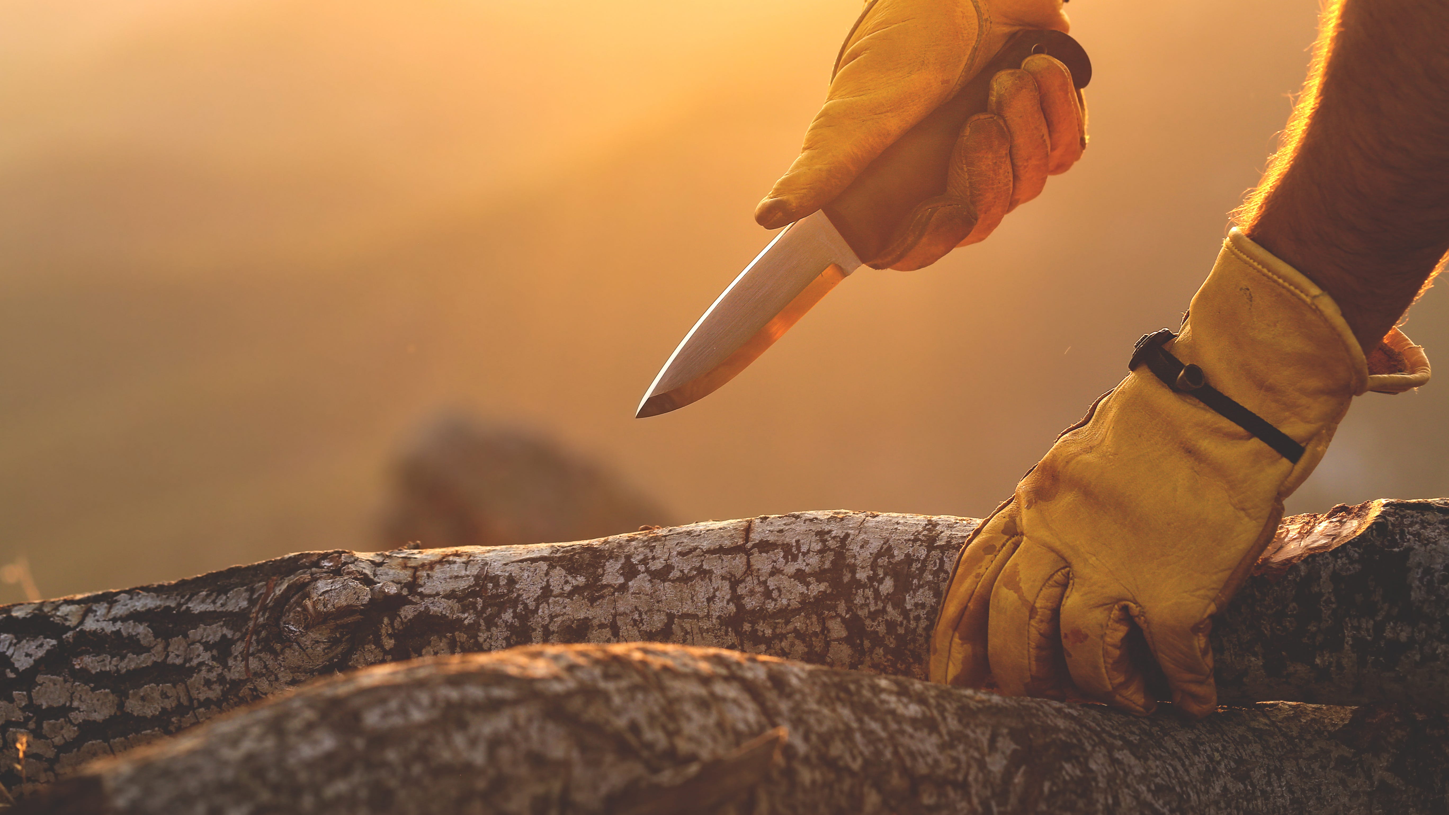 The best pocket knives you can buy in 2021