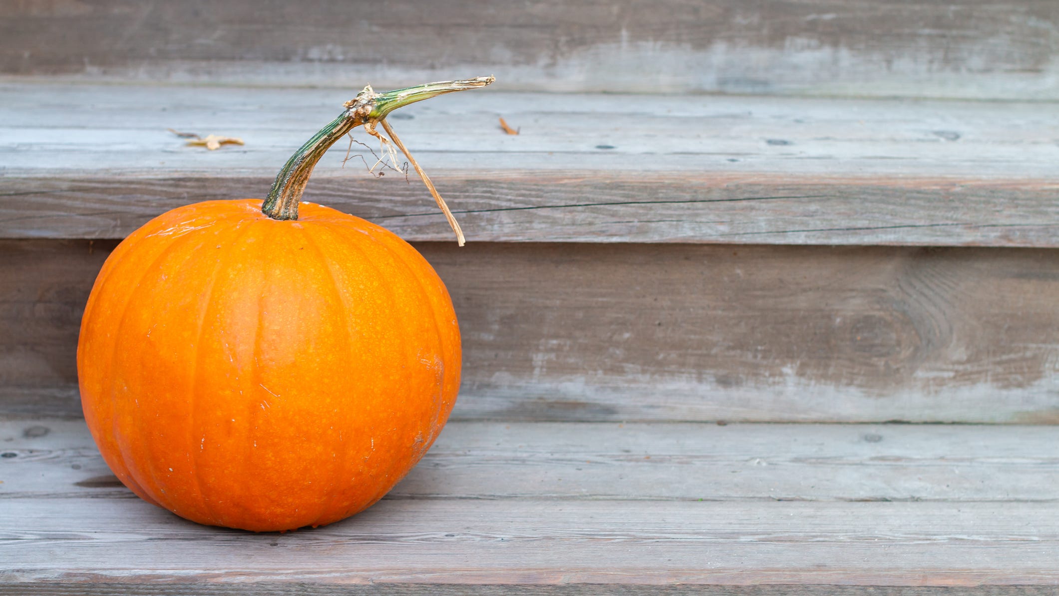 WATCH: Woman caught on doorbell camera stealing pumpkins ahead of Halloween
