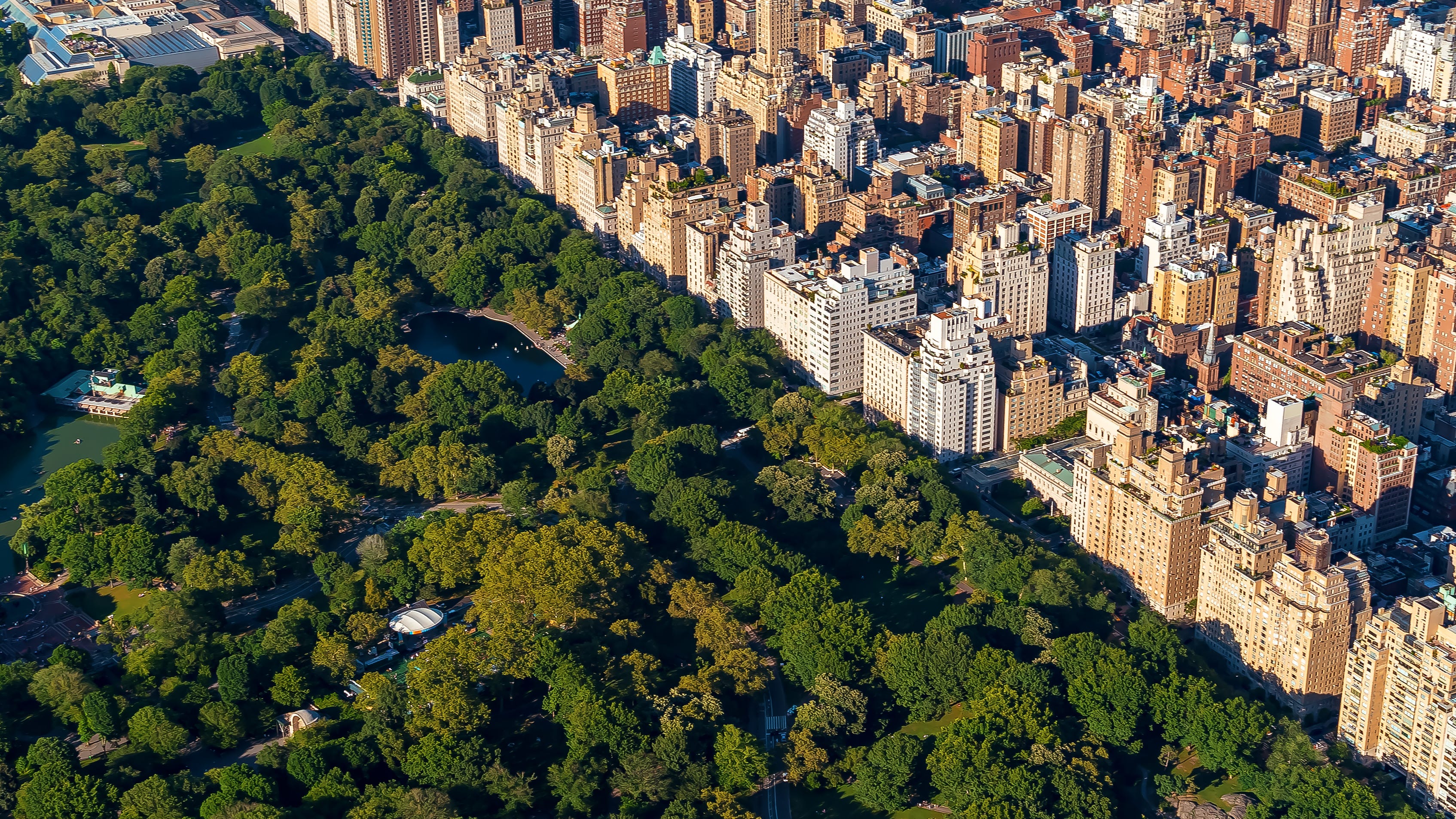 'Partially decomposed' man found dead in Central Park lake: source
