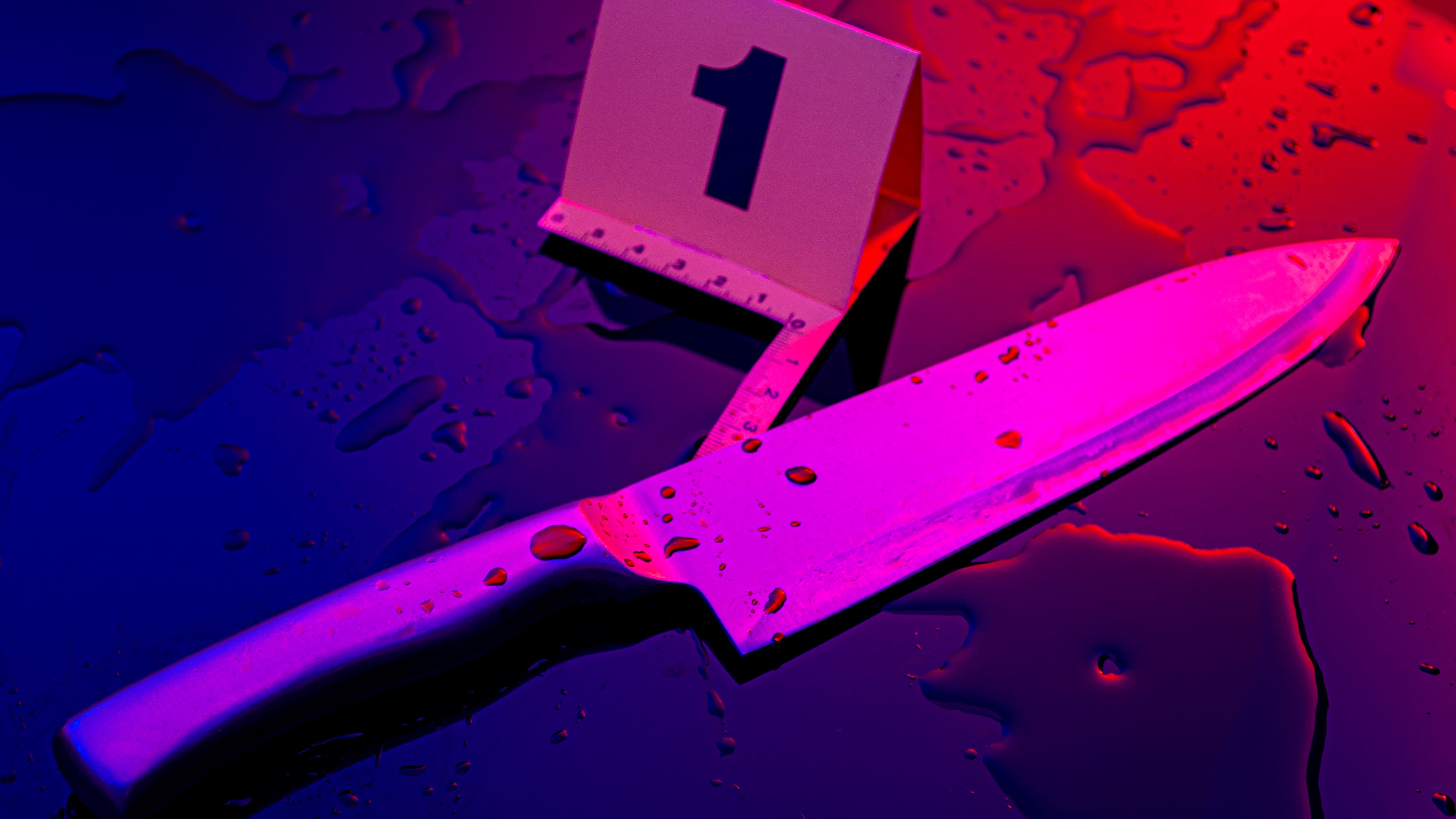Two men fatally stabbed on same South Side block
