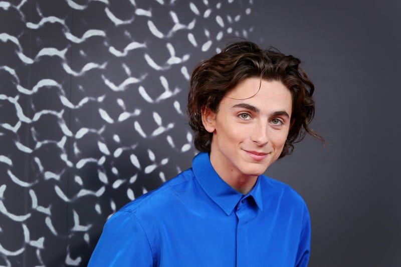 Timothee Chalamet