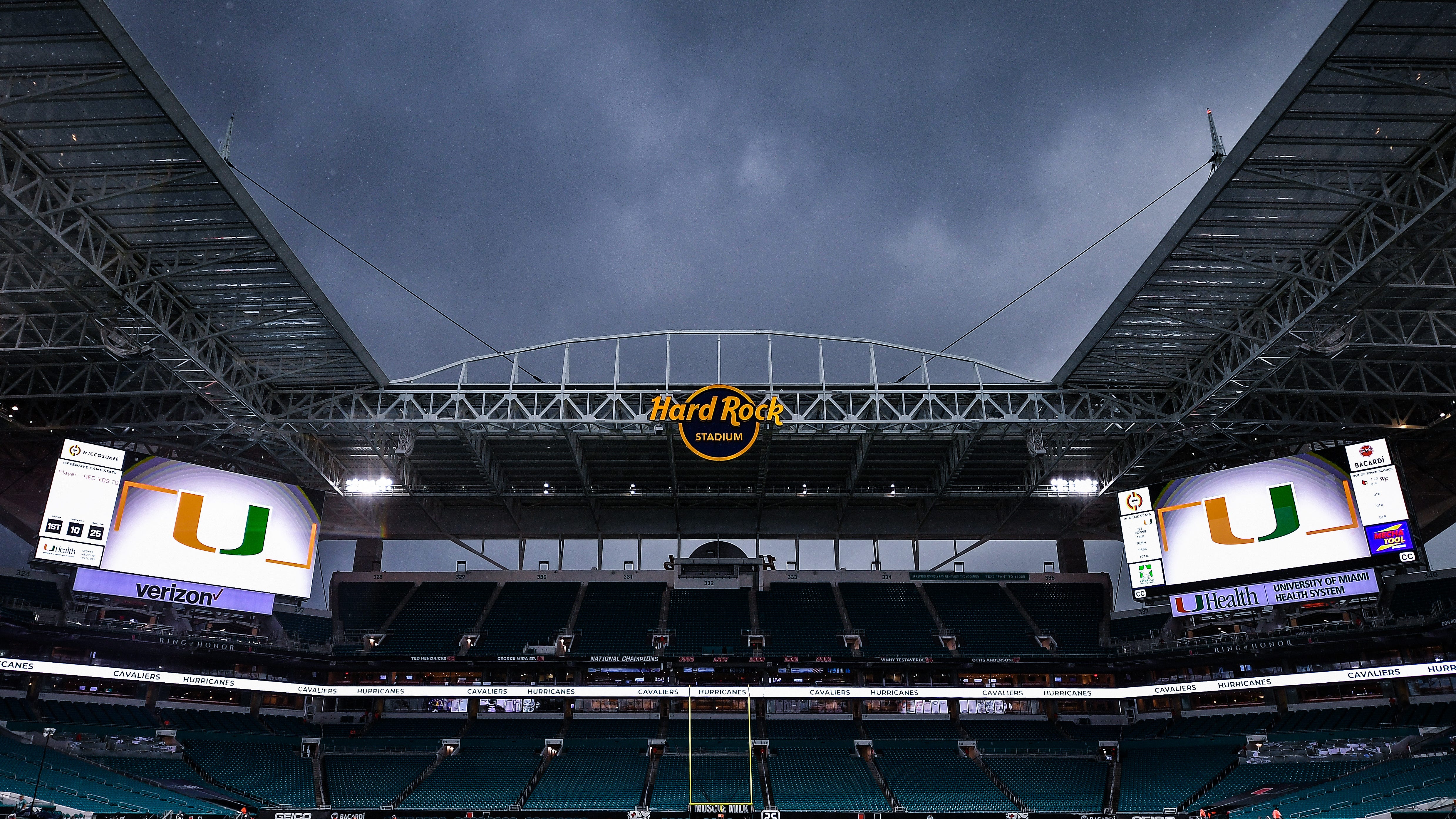 Fans rescue falling cat in dramatic scene at Hard Rock Stadium