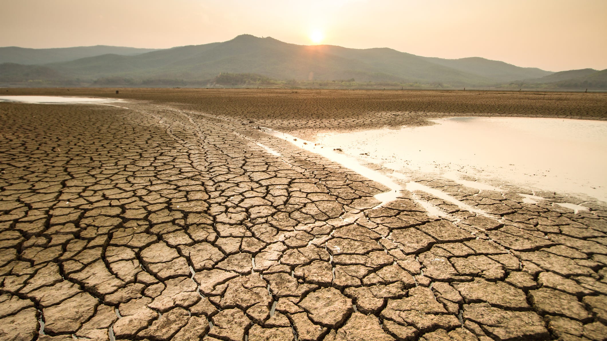 Which countries will survive climate catastrophe? Experts made a list