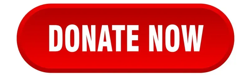 Donate now