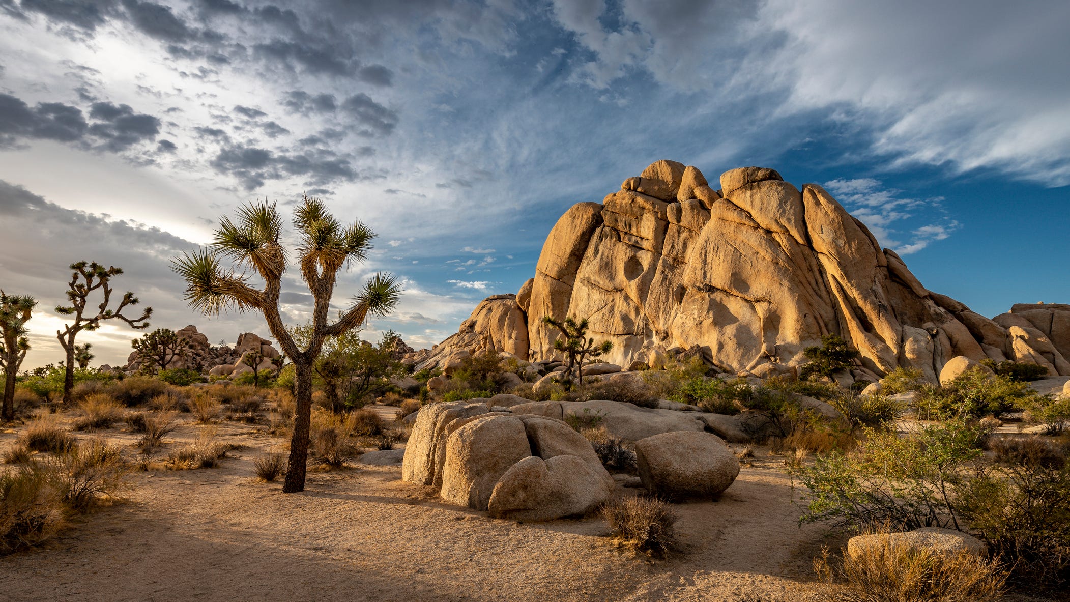 Rock climber falls to death at Joshua Tree National Park