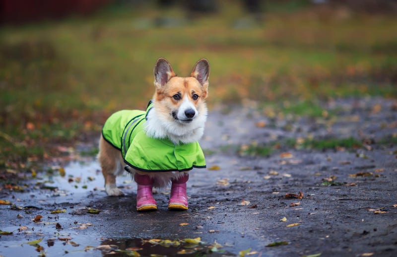 Scattered showers start this weekend