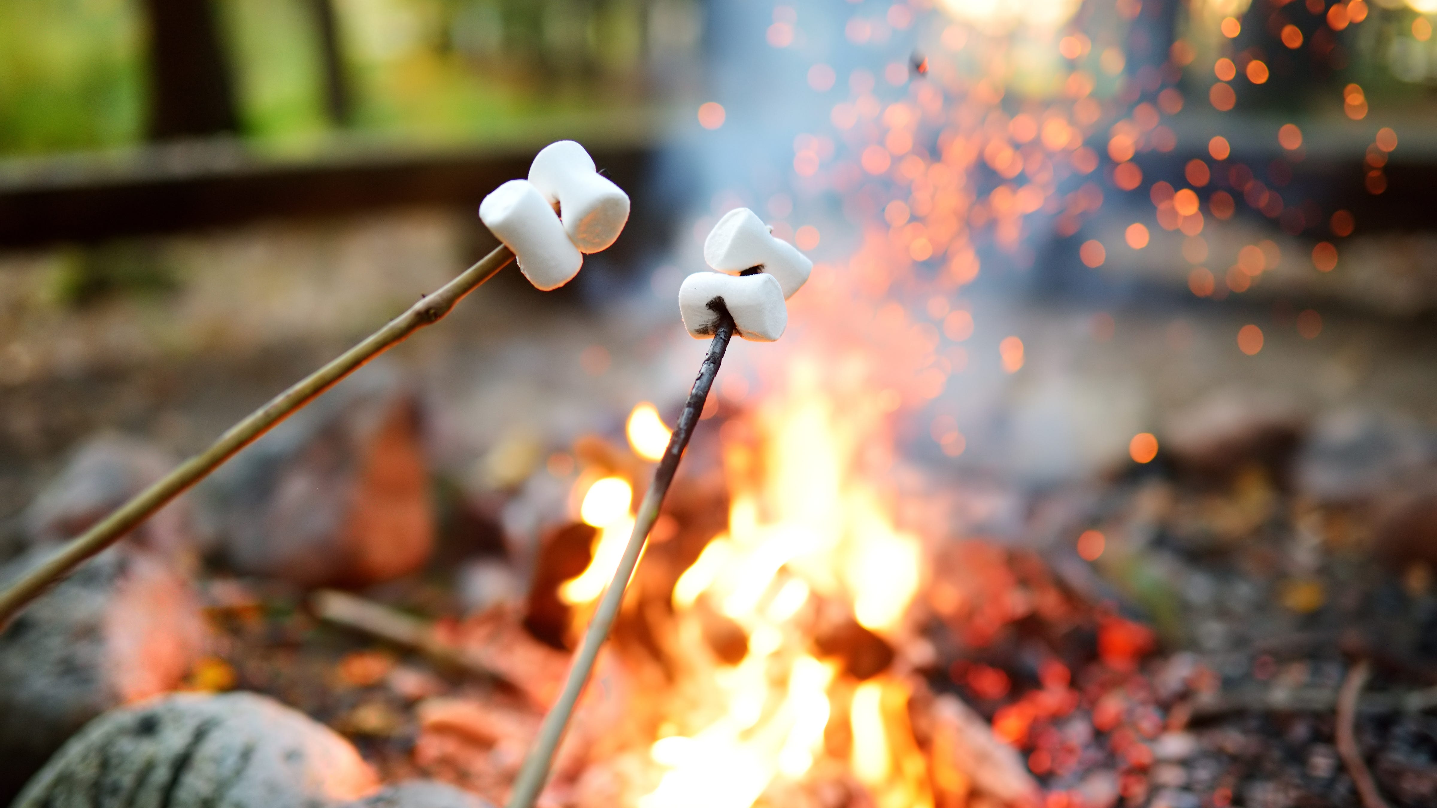 Camp Connections coming this summer for teens with disabilities