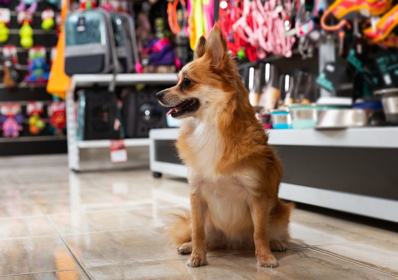 Pet store