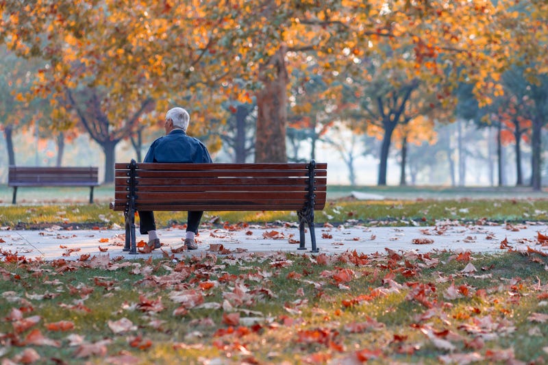Lonely, Senior, Federal, Bill, Tina Smith