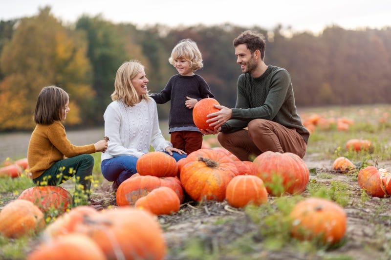 Family checks out pumpkins in a field