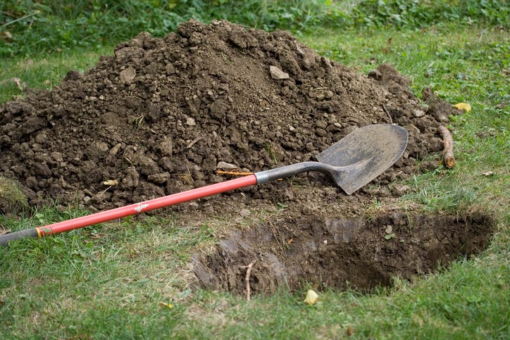 A hole and a shovel. 