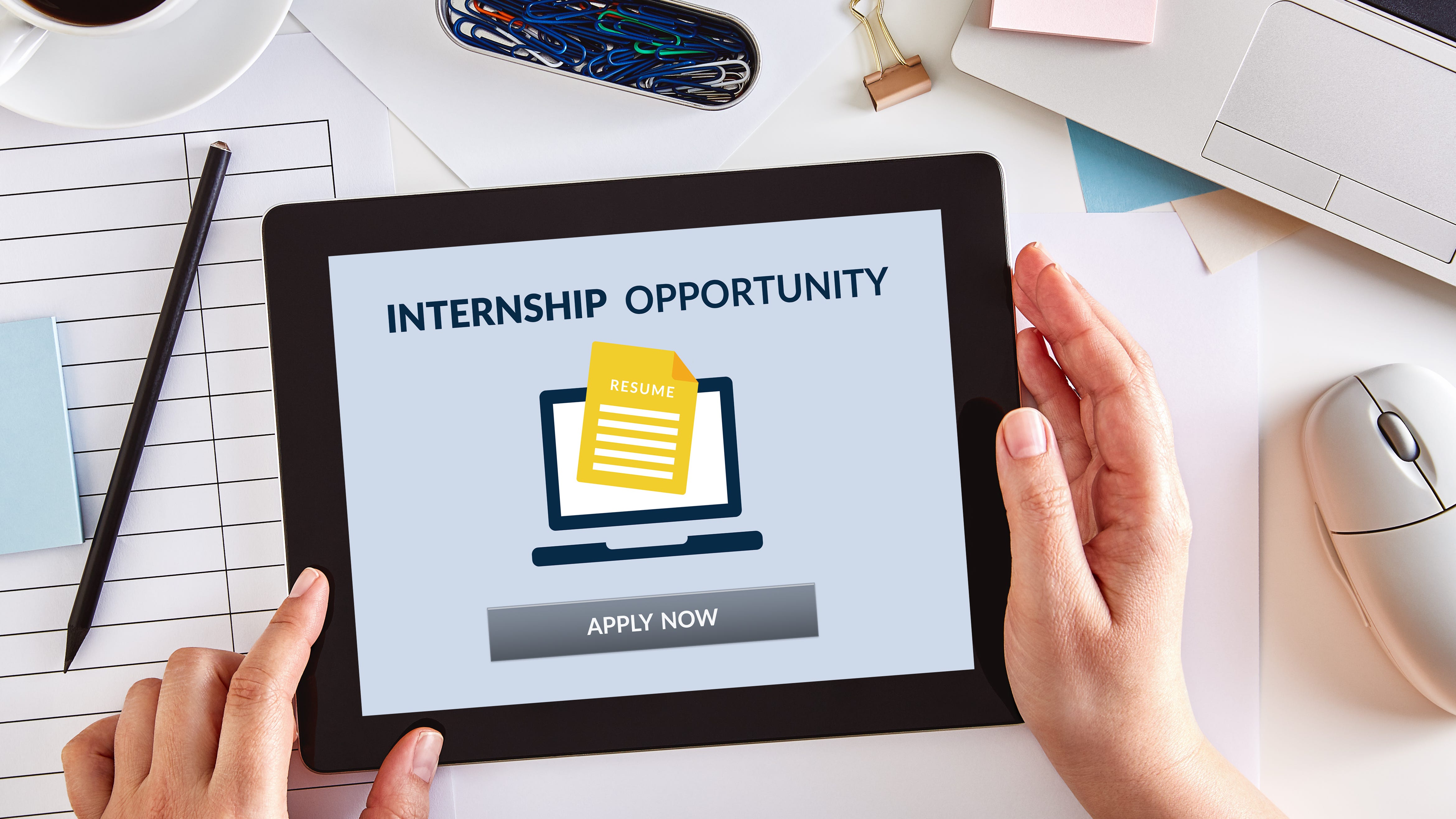 Cook County launches summer internship program for young people