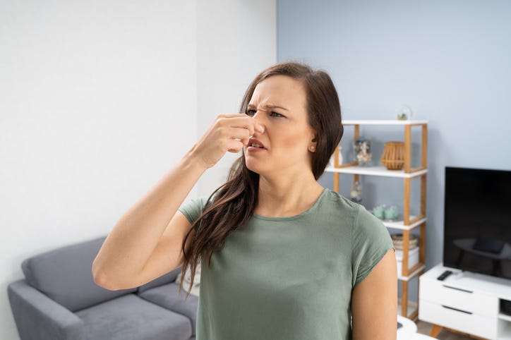 Smelling Your House