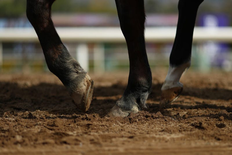 A general view of horses trotting on the dirt track at Santa Anita Park on November 02, 2019 in Arcadia, California. (Photo by Joe Scarnici/Getty Images)