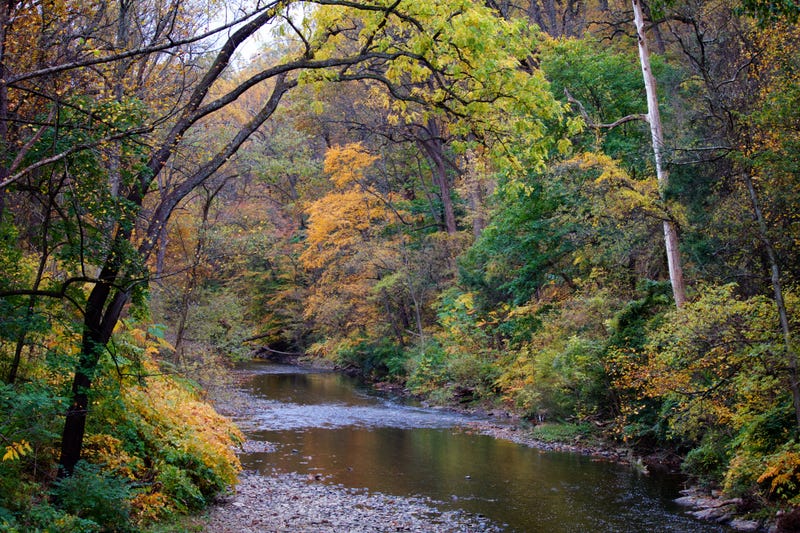 Wissahickon Valley Park in autumn