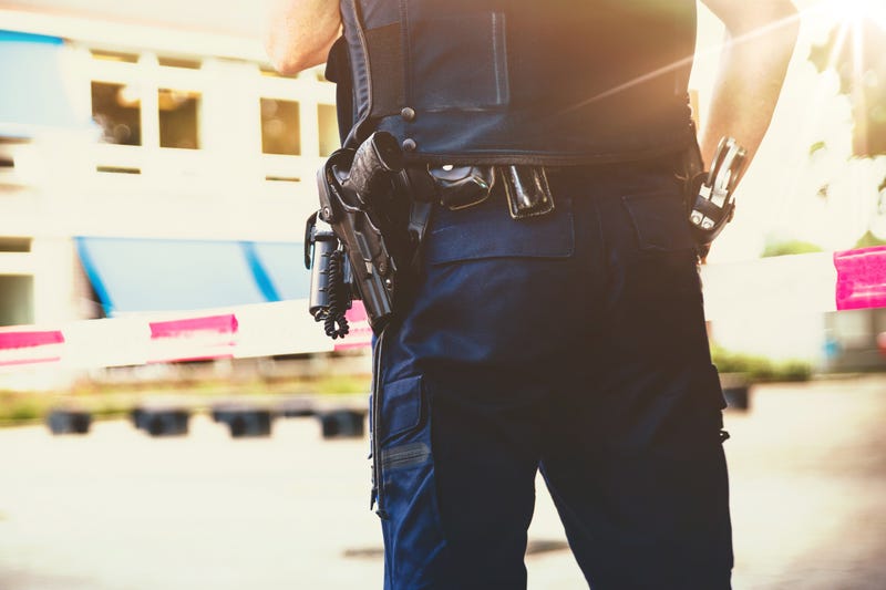 Police in school