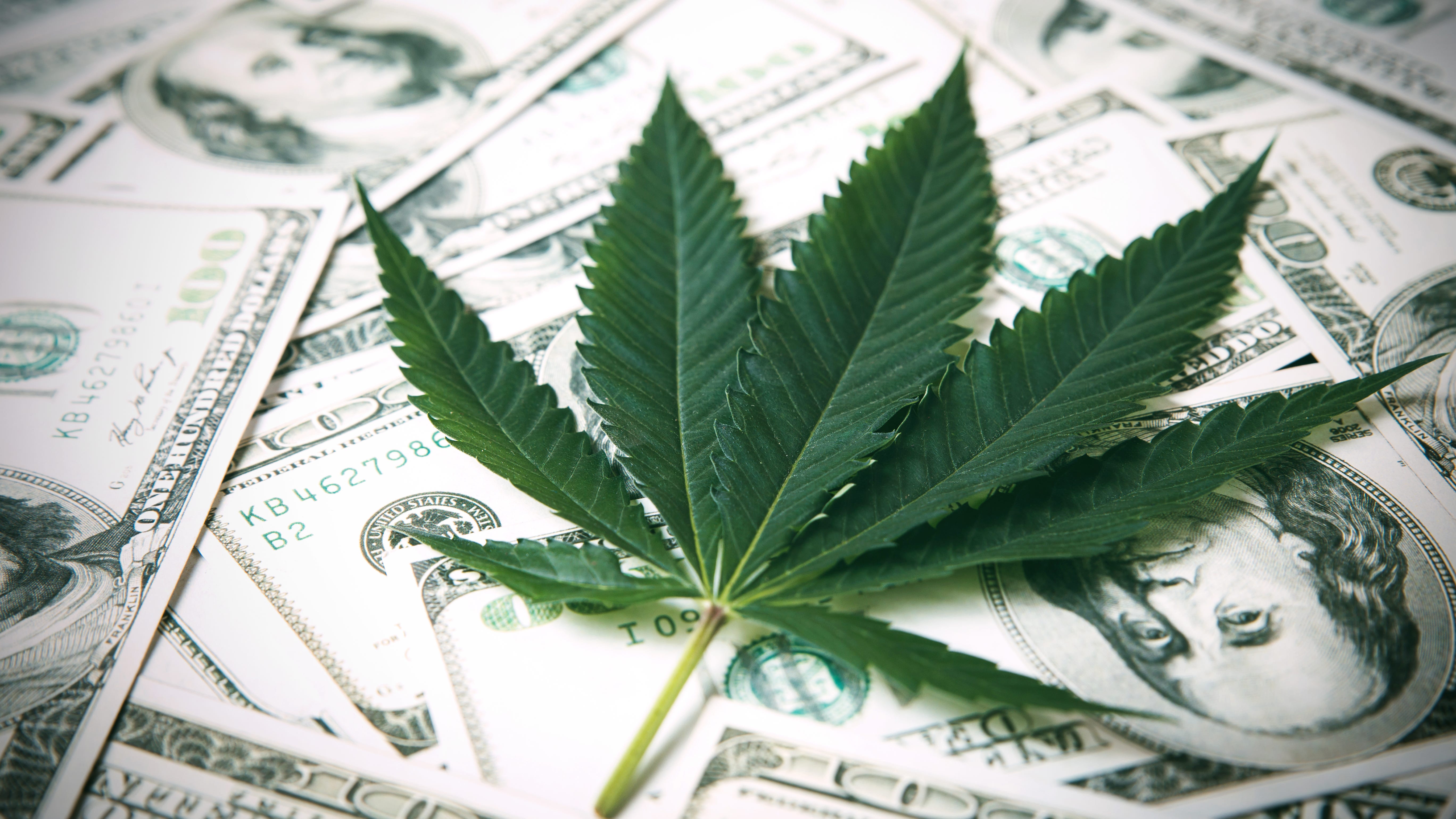 LISTEN: How to cash in on the marijuana industry