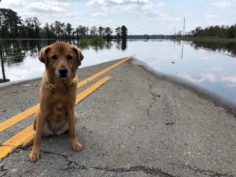 Zeta's wrath: Southeast storms, Gulf Coast swamped; 6 dead