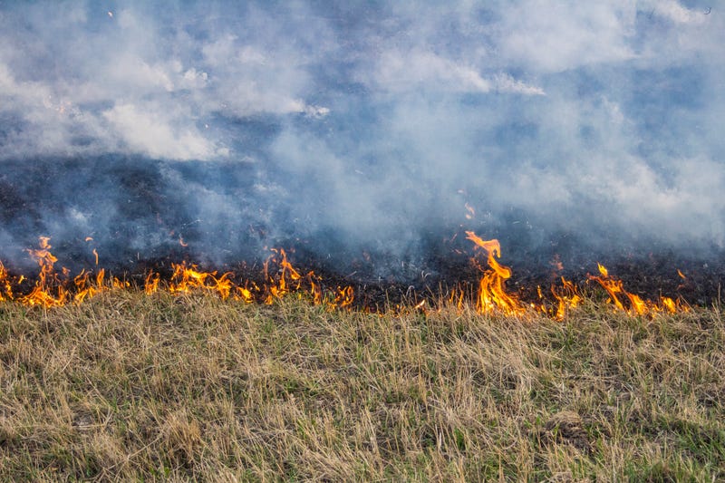 Grass fire