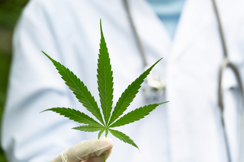 cannabis
