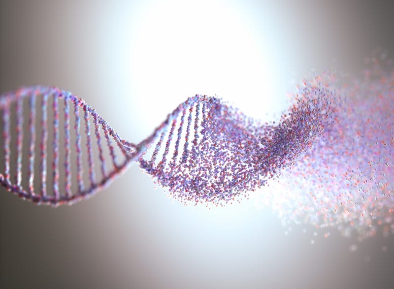 DNA