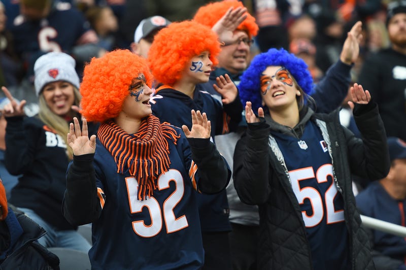 Fans of the Chicago Bears cheer during a game against the New York Giants at Soldier Field on November 24, 2019 in Chicago, Illinois.