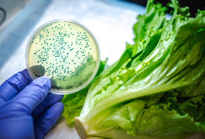 Petri dish and lettuce