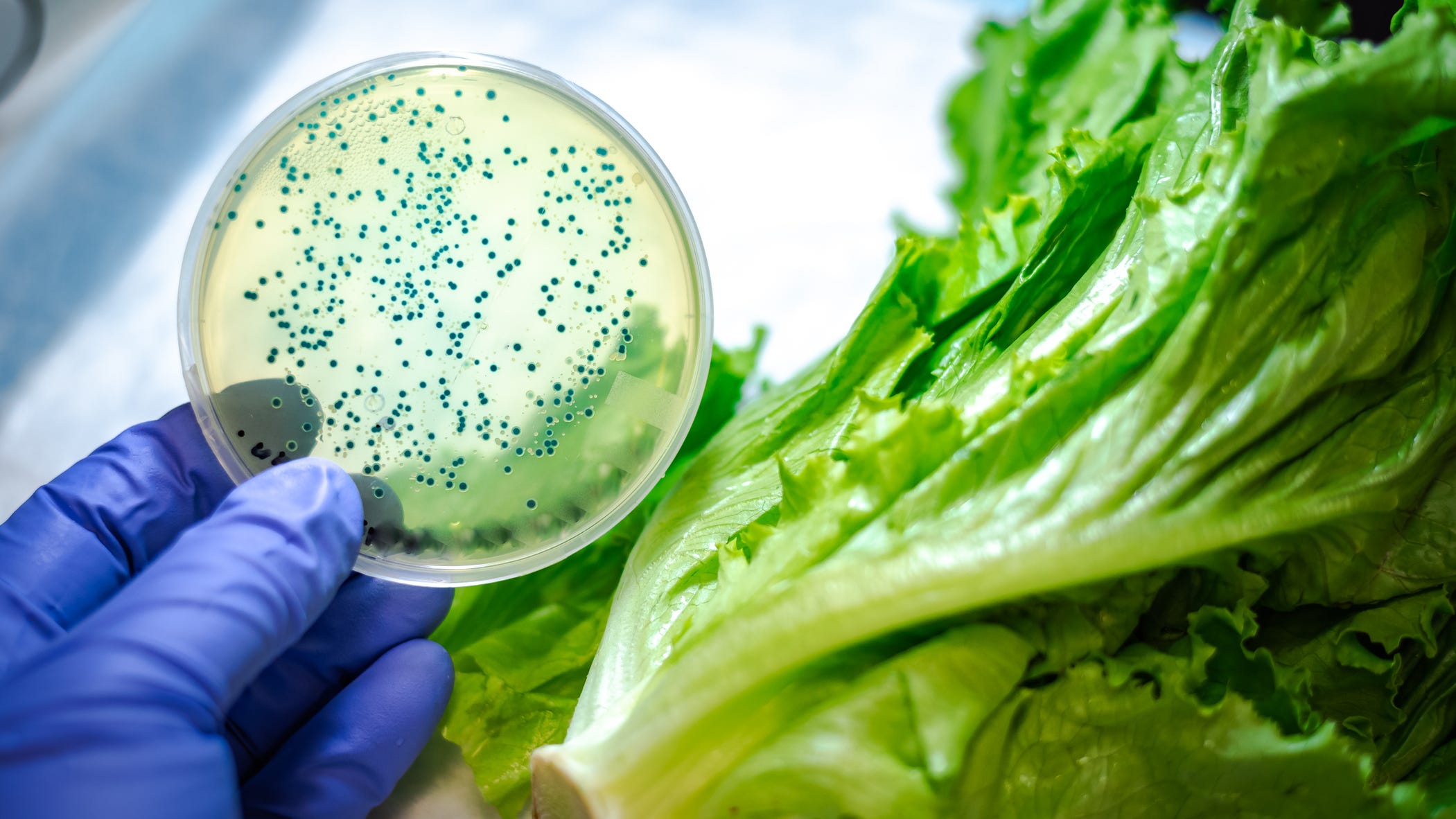 1 dead, 16 people sick from E. coli outbreak with unknown source: CDC