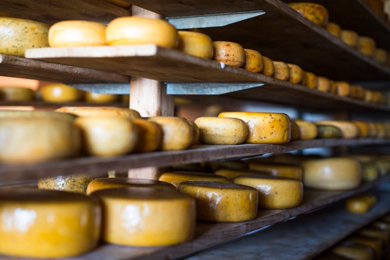 wheels of gouda cheese on racks