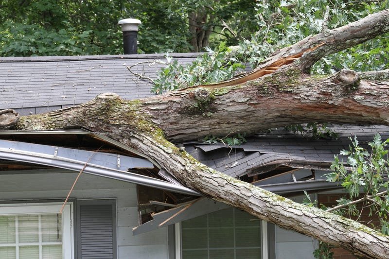 FILE: Storm damage
