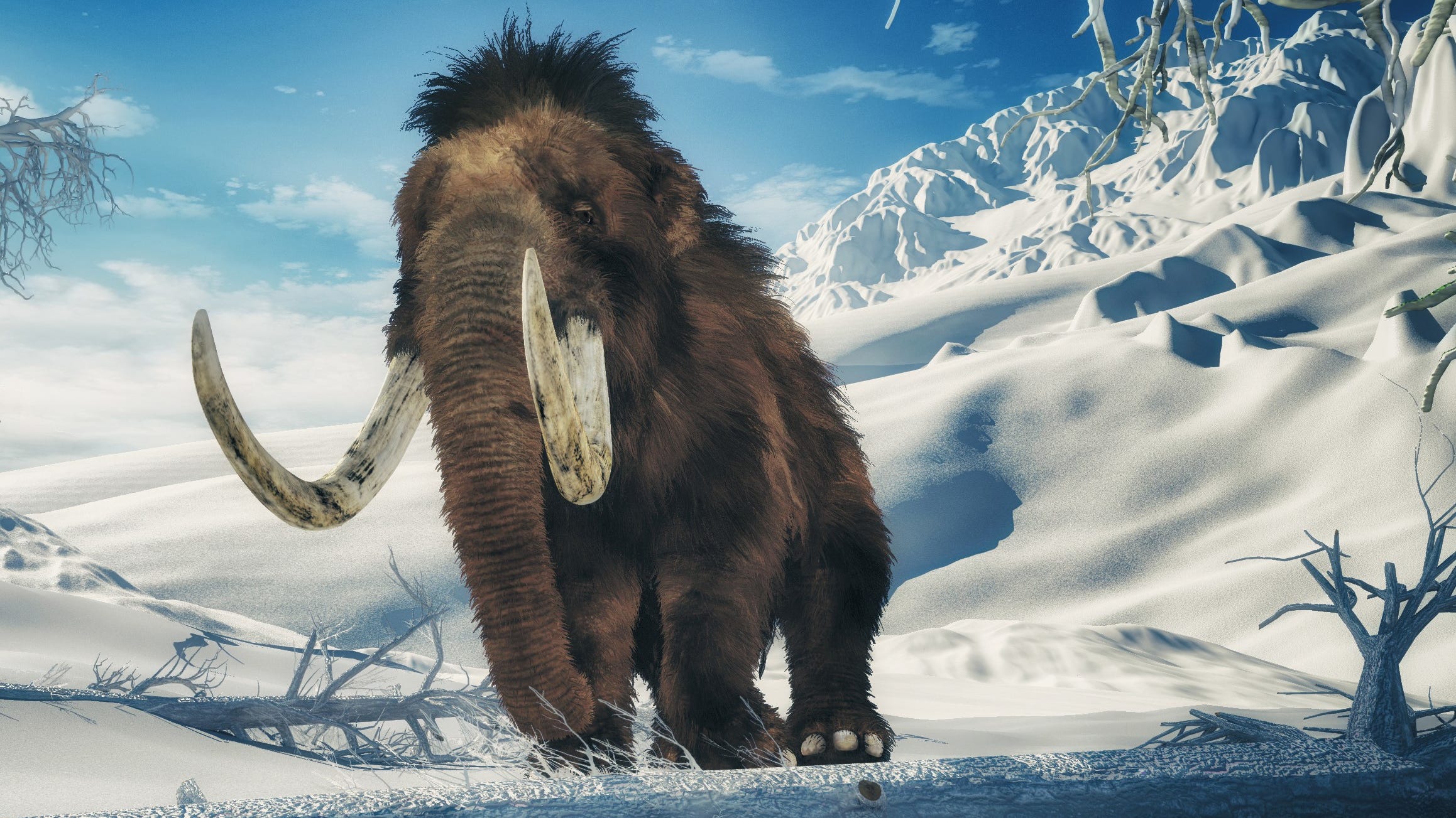 Where’s the beef? Mammoth meatball unveiled in Amsterdam