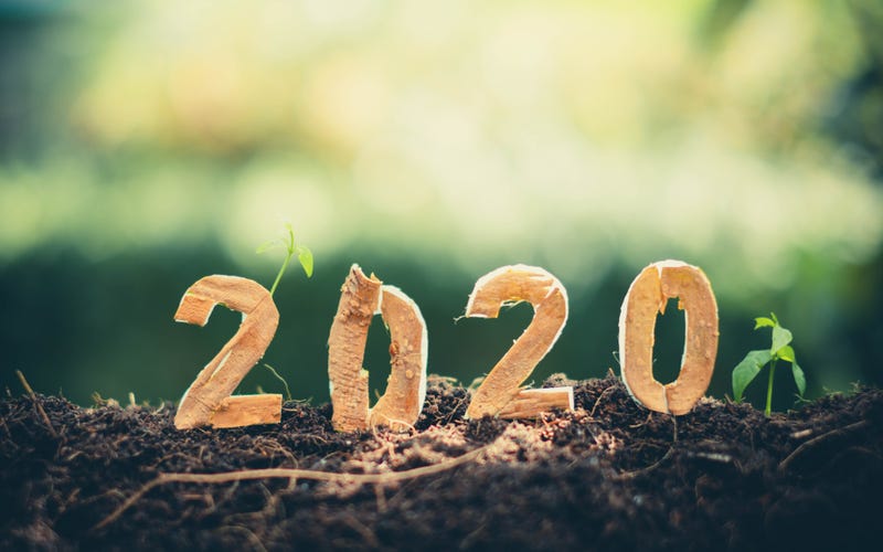 Sustainable 2020